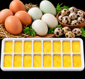 Full Egg-Cube Tray - 18 Count